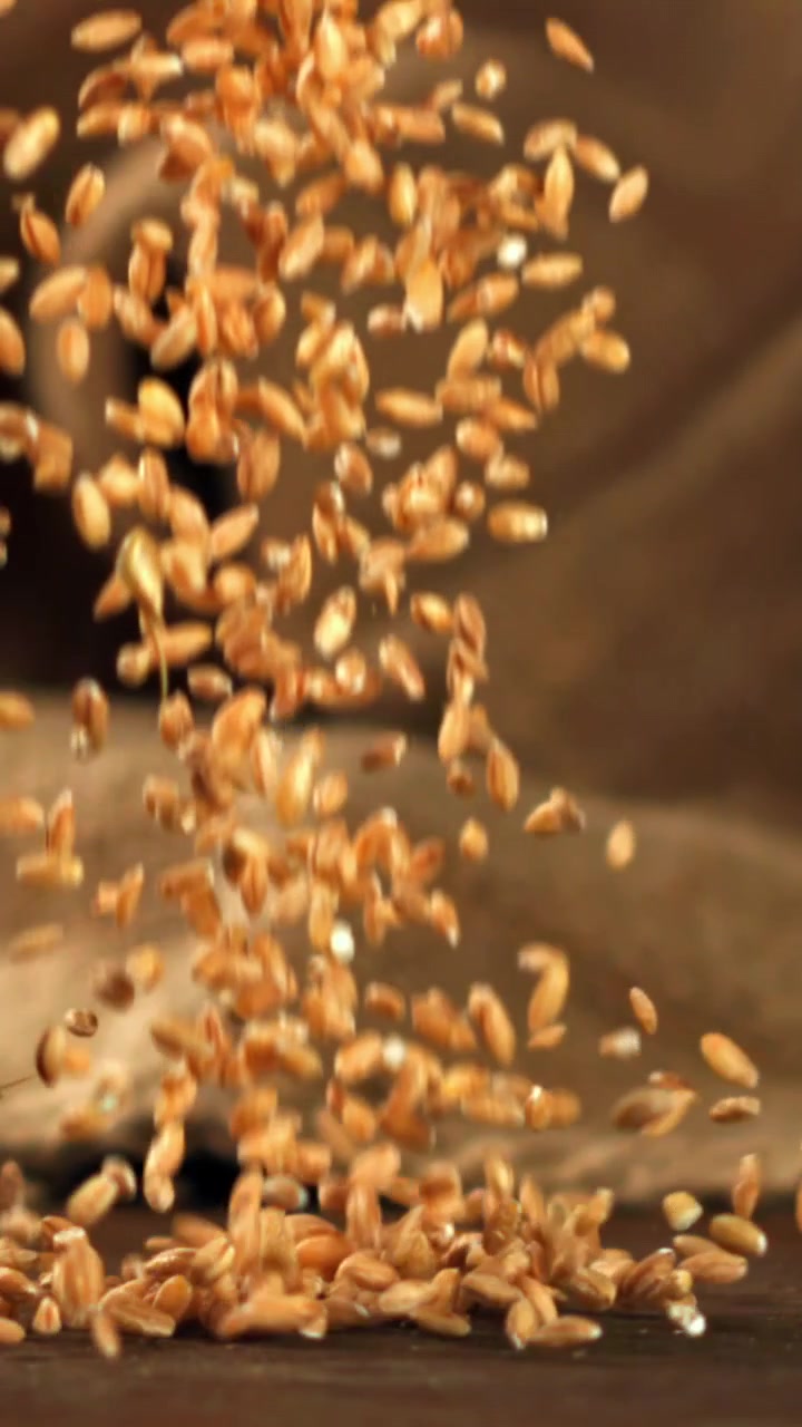 Primo piano al rallentatore di chicchi di grano che cadono