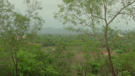 wide shot of a lush rural landscape with scattered trees, fields, and distant hills under a cloudy sky