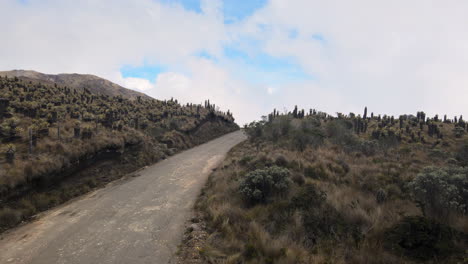 Parque-de-los-nevados---Wonderful-landscapes-of-Colombia-3