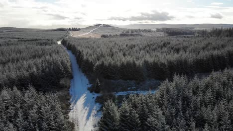 Aerial-rising-view-over-Bellever-Forest-in-the-snow-looking-towards-Bellever-Tor,-Dartmoor,-Devon,-England