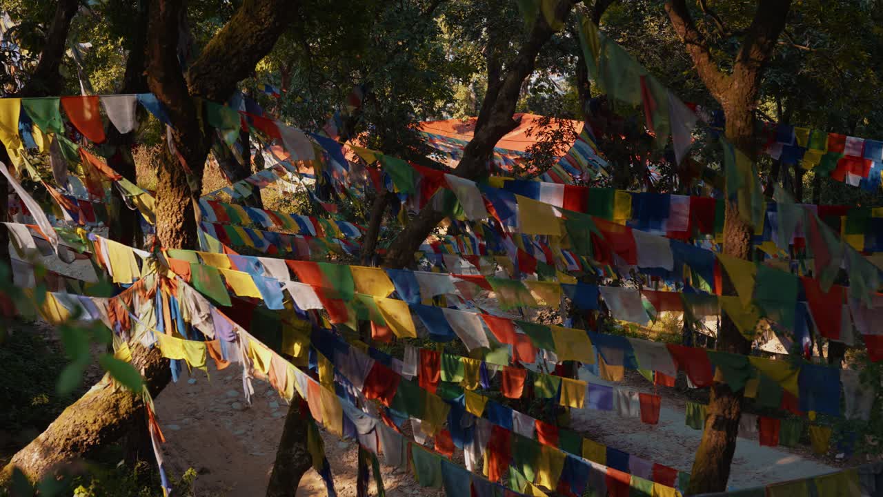 Bandiere di preghiera colorate appese tra alberi della giungla vicino al Tempio di Changu Narayan, Nepal, atmosfera spirituale
