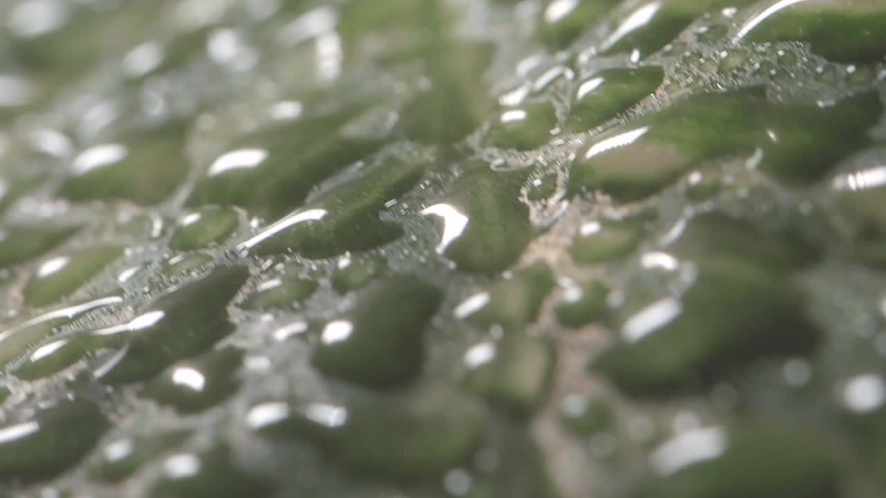 Close-up of Water Droplets on a Green Surface