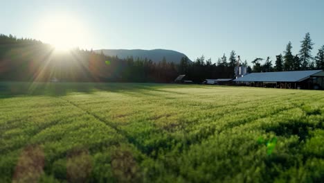 green field at countryside 4k