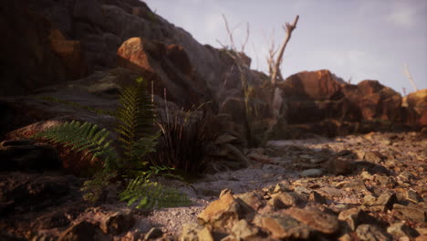 dry dead tree branches and mountain ridge