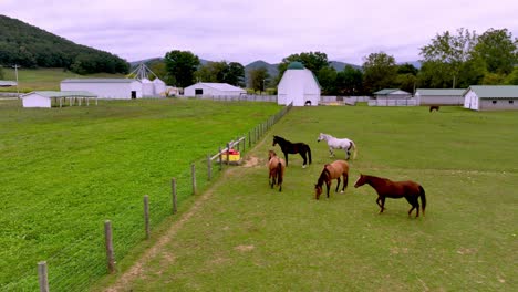 aerial pullout over horses and barns near mountain city tennessee