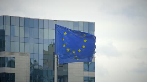 eu flags by the ep building in brussels