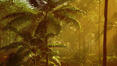 lush green foliage in tropical jungle