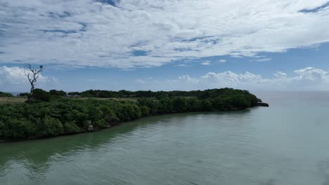 Drone-rising-in-front-of-vegetation-on-the-coast-of-Rio-San-Juan,-Dominican-Republic