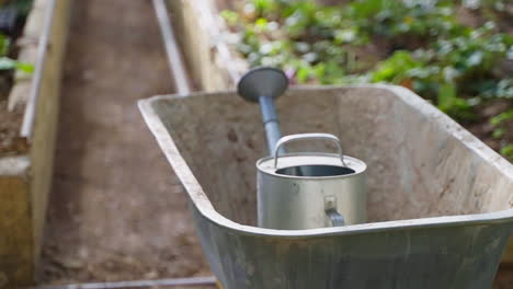 watering can in a garden container