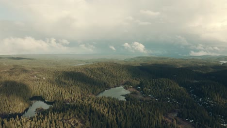 Vuelo-Aéreo-Sobre-Un-Denso-Bosque-Con-Pequeños-Lagos-En-La-Montaña-De-Skrim-En-Telemark,-Noruega-Durante-La-Primavera---Toma-Aérea-De-Drones