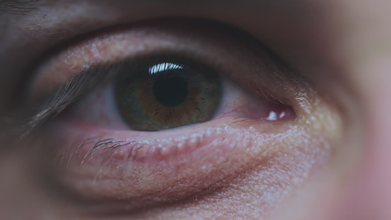 인간 눈의 클로즈업