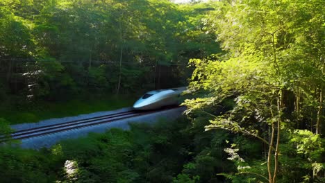 train passing through lush forest