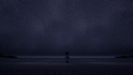 starry night beachscape