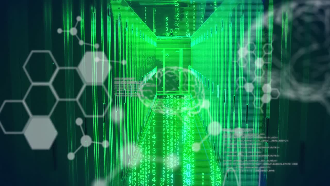 컴퓨터 서버를 통해 과학 데이터 처리 및 뇌의 애니메이션