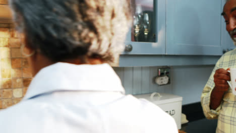 senior couple preparing food in kitchen