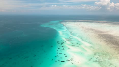 4k flying drone footage above white sandbanks coast with beautiful transparent rippled waves washing coral reefs atoll near mnemba island, tanzania