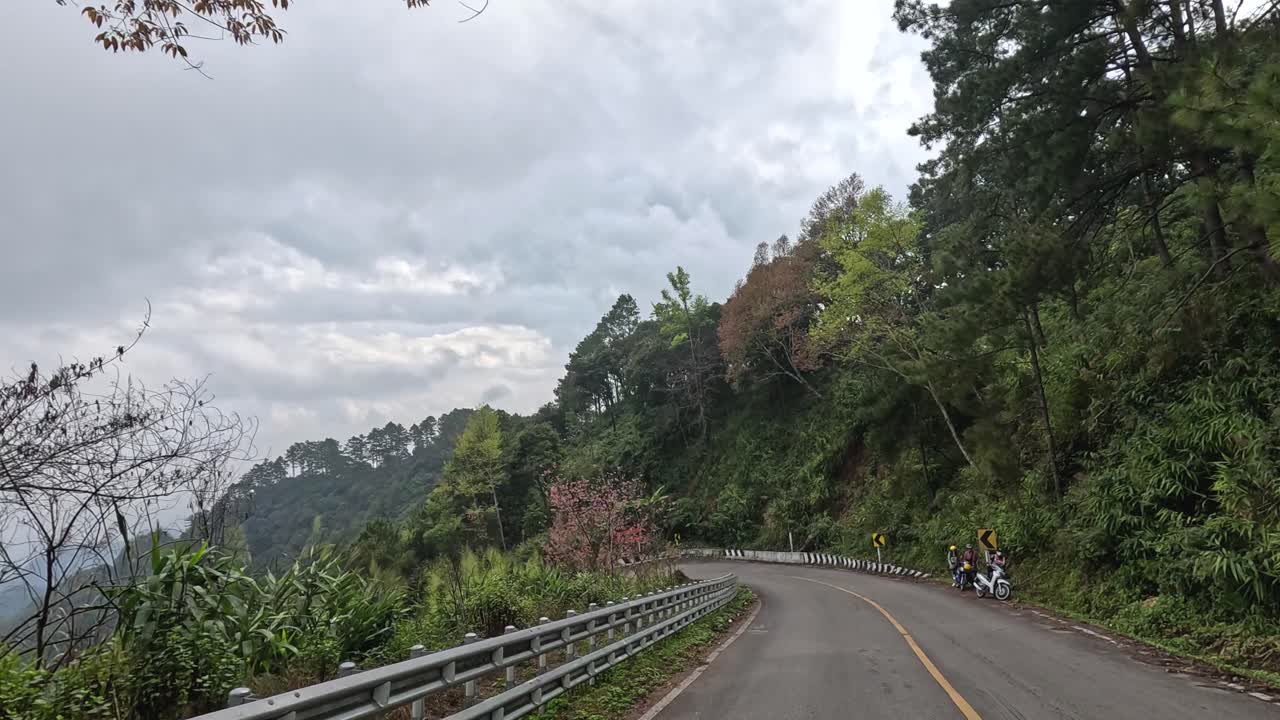 panorámico camino de montaña con flores de cerezo