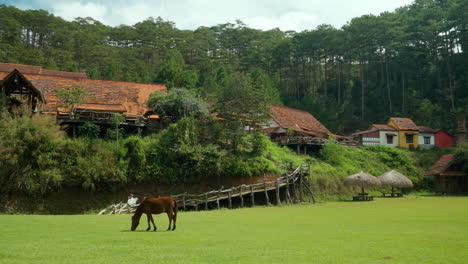 house grazes grass in a meadow, cu lan ethnic village houses in da lat, vietnam - pan