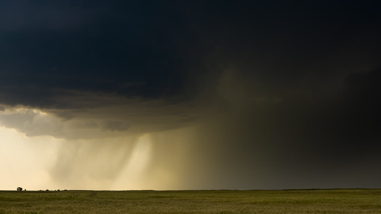 Stormy Weather Over a Wheat Field