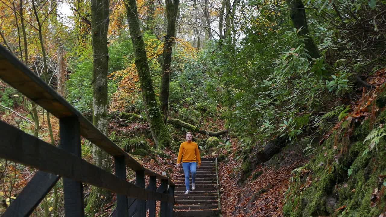 Guy walking towards the camera in a forest, revealing shot (tilt down)