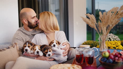 a family rests on the veranda of their house, holding several puppies in their hands