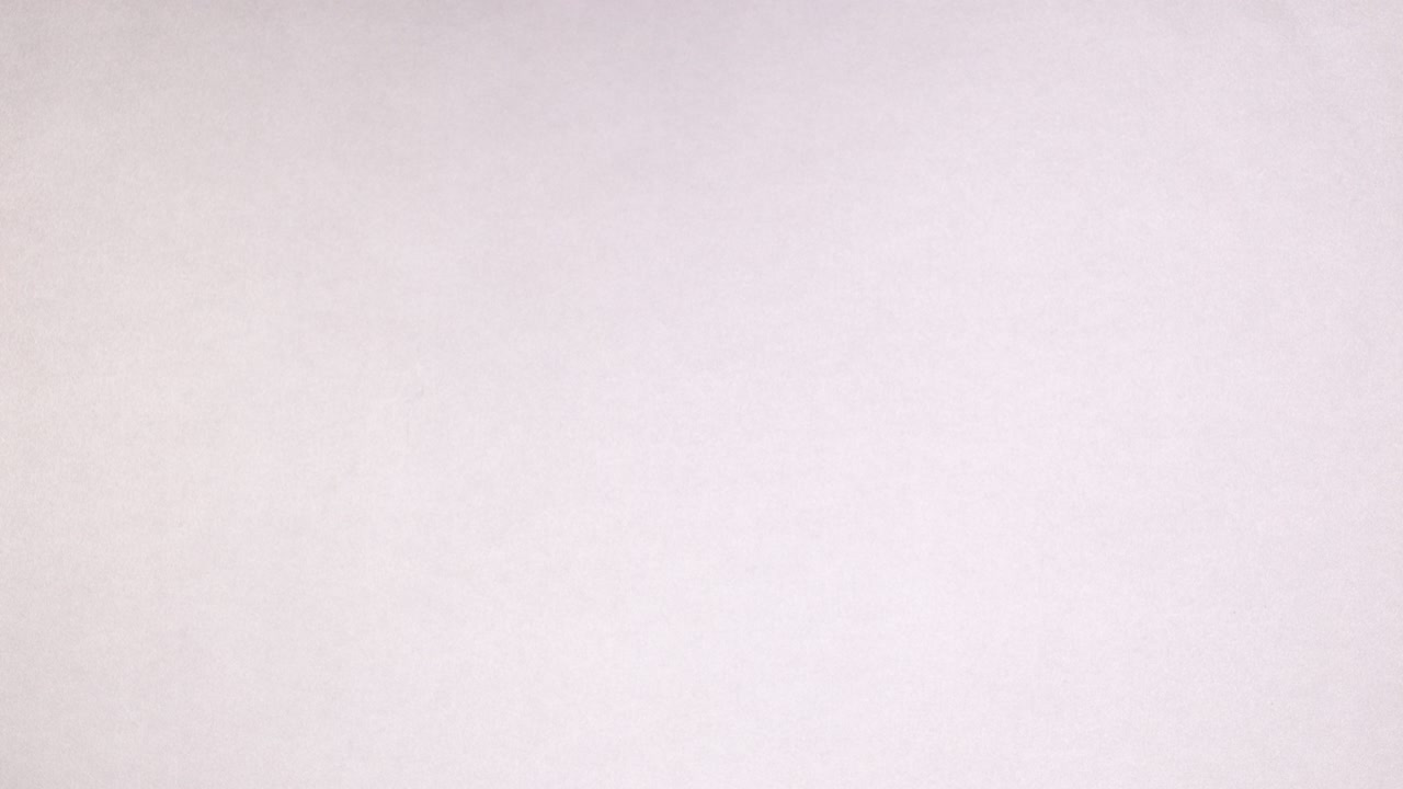 Fiori romantici e femminili, nastri e sciarpa appaiono sul lato sinistro. Stop motion