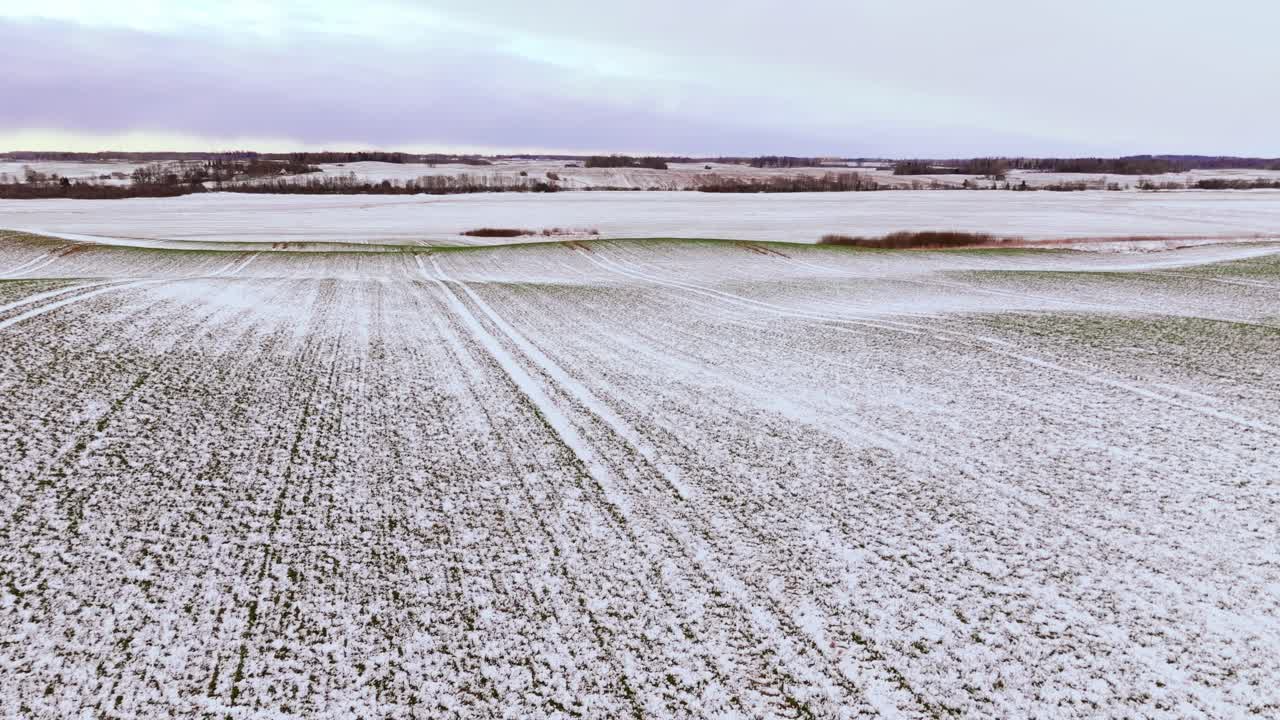 Aerial of undulating snowy farmland with green patches, spring morning in Latvia