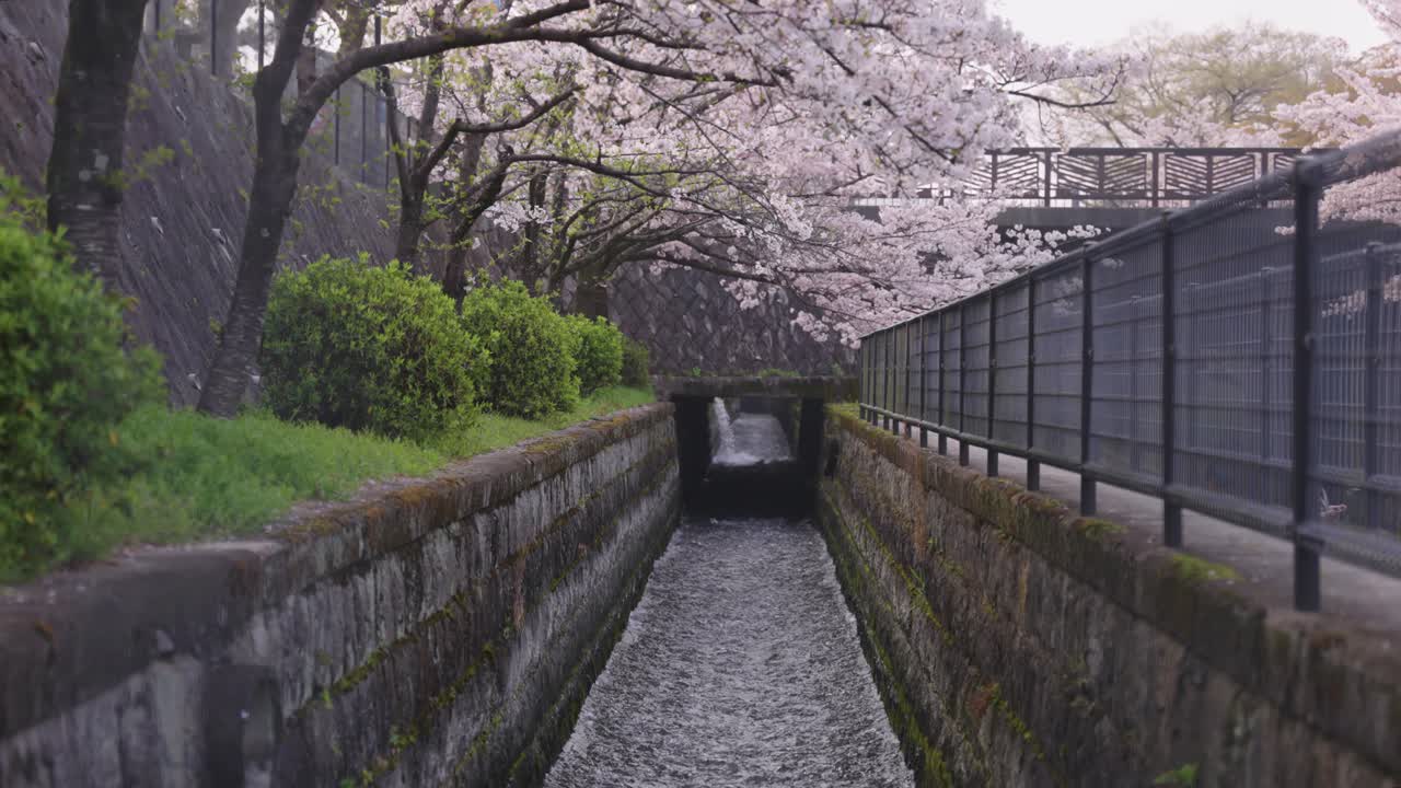 biwako sosui fluyendo hacia la pendiente de keage, kyoto en la temporada de primavera