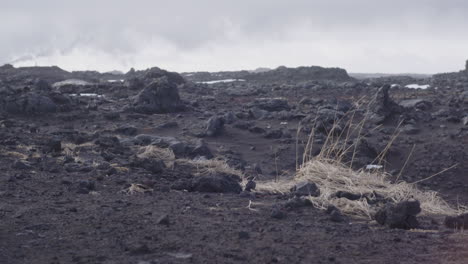 Este-Material-De-Archivo-Muestra-La-Belleza-Surrealista-De-Las-Playas-De-Arena-Negra-De-Islandia