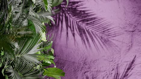tropical green palm leaves on the left with leaf shadows on a textured pink wall. natural jungle foliage composition. flat lay composition with copy space. summer and nature, wallpaper vertical