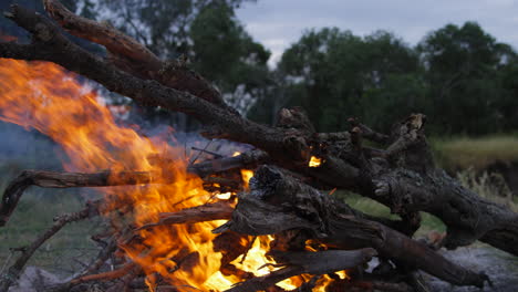 fogata después del atardecer en un camping en ol pejeta, kenia