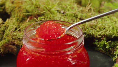red caviar in a glass jar on moss