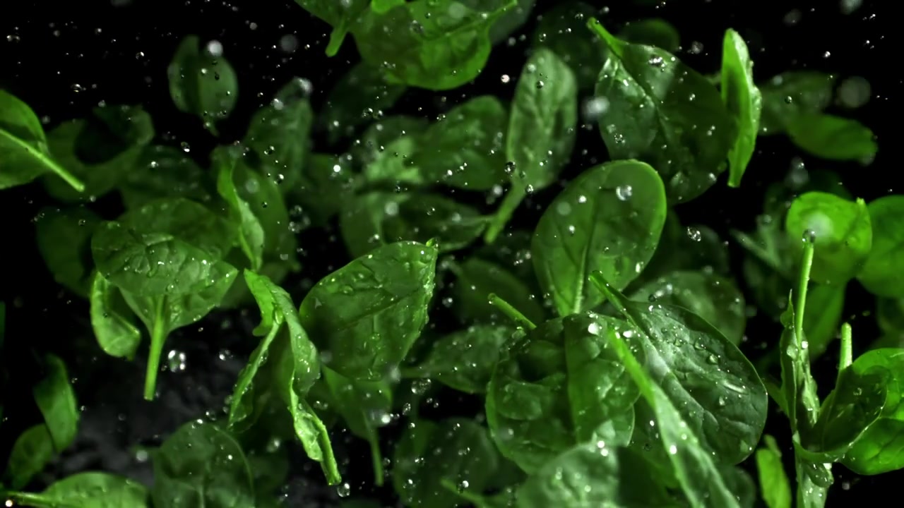 Foglie di spinaci freschi con goccioline d'acqua che cadono al rallentatore