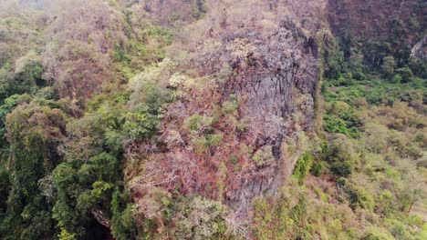la primavera trae la flor de los árboles que se aferran a los acantilados, nueva vida y color a las formaciones cársticas por lo demás secas del norte de laos, sudeste asiático