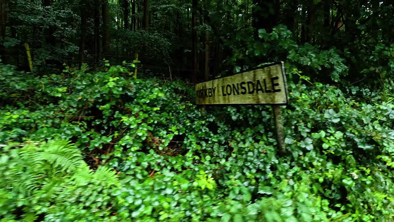 방향 표지판이 보이는 울창한 초록색