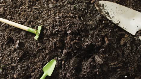 close up video of trowel and miniature trowel and rake tools lying on dark soil, with copy space