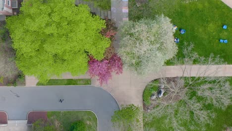 top down aerial of sidewalk pattern