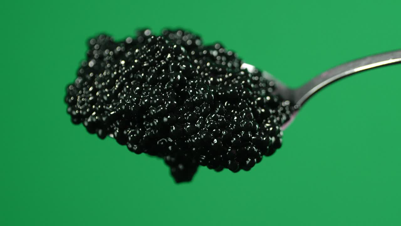 Full spoon with fresh black caviar.
