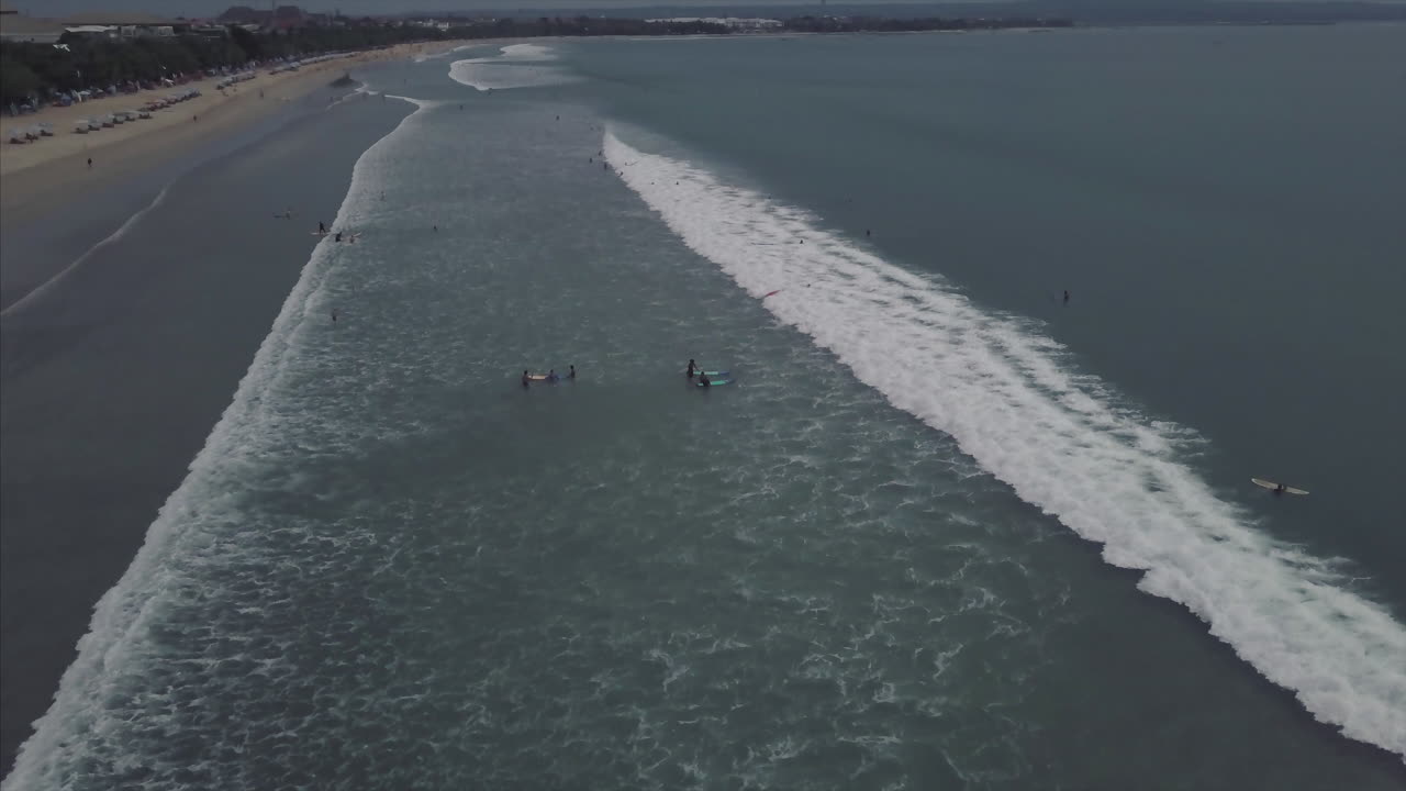 열대 해변 의 파도 에 서핑 하는 사람 들