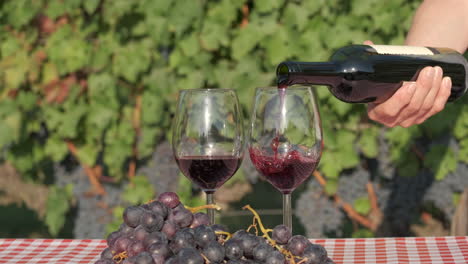 degustación de vino en el campo de los viñedos, vertiendo vino tinto en copa