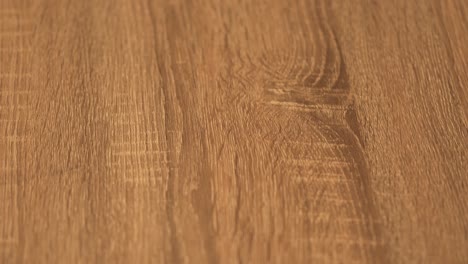 Maple-hardwood-floor-newly-refinish-in-4k
