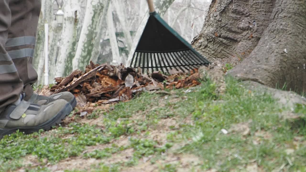 trabajador del parque limpiando hojas