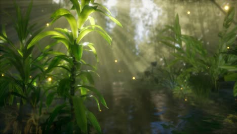 Fog-over-the-river-in-the-early-morning-on-an-summer-day