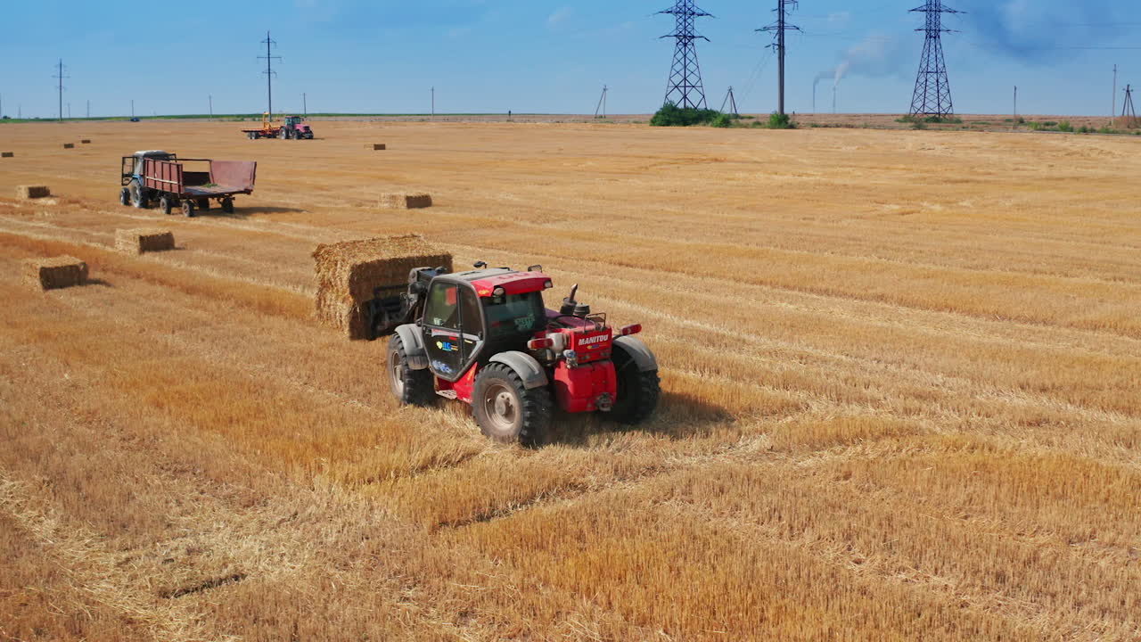 High-powered skid loader lifts two heavy hay bales at once. Vehicle carries the packs of straw to the tractor. Green forest backdrop.
