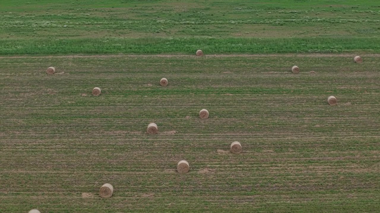 Round hay bales are distributed across a vast agricultural field, captured from an aerial perspective during harvest season.