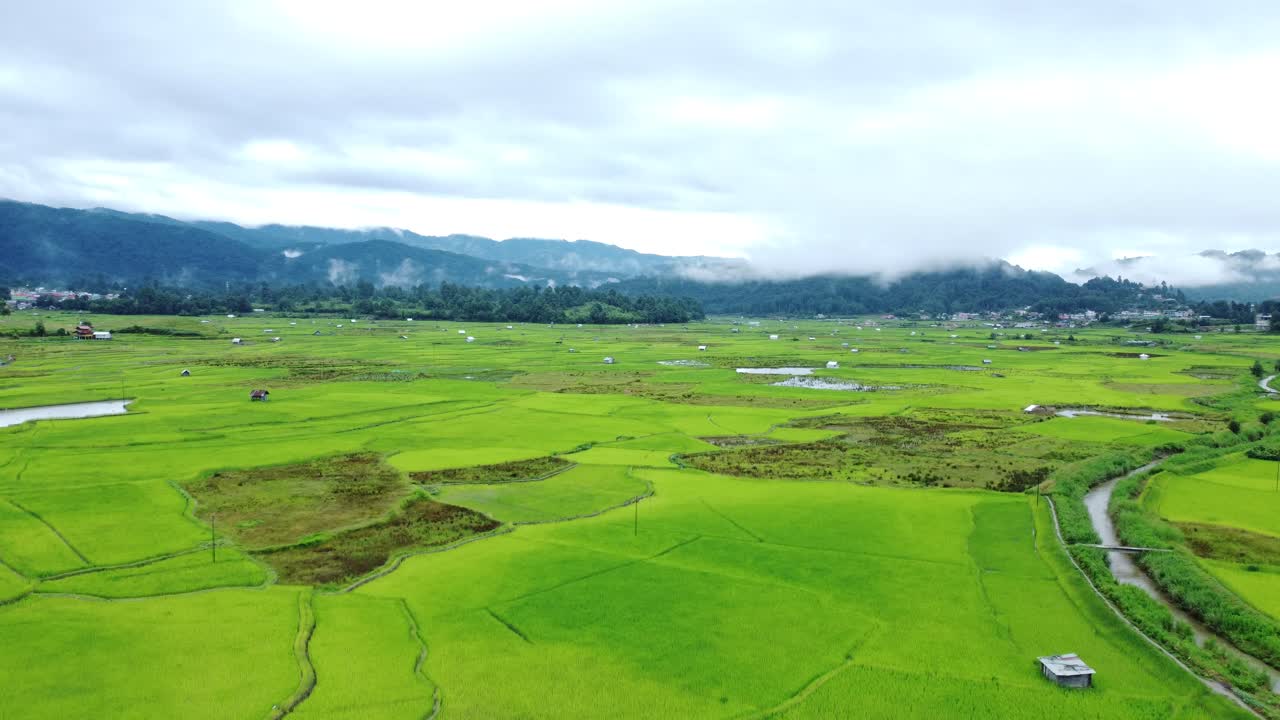 взгляд с воздуха на рисовое поле в аруначал-прадеш