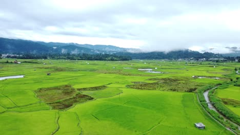 vista aérea de un campo de arroz en arunachal pradesh