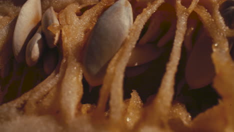 macro closeup of the inside of a melon