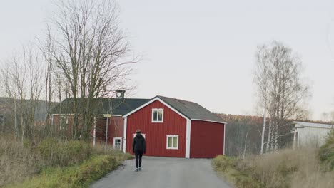 Red-Scandinavian-house