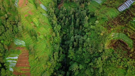 Drone-shot-of-tropical-landscape-on-the-slope-of-mountain-with-hidden-waterfall---Forest-looks-damaged-due-to-land-clearing-for-agriculture